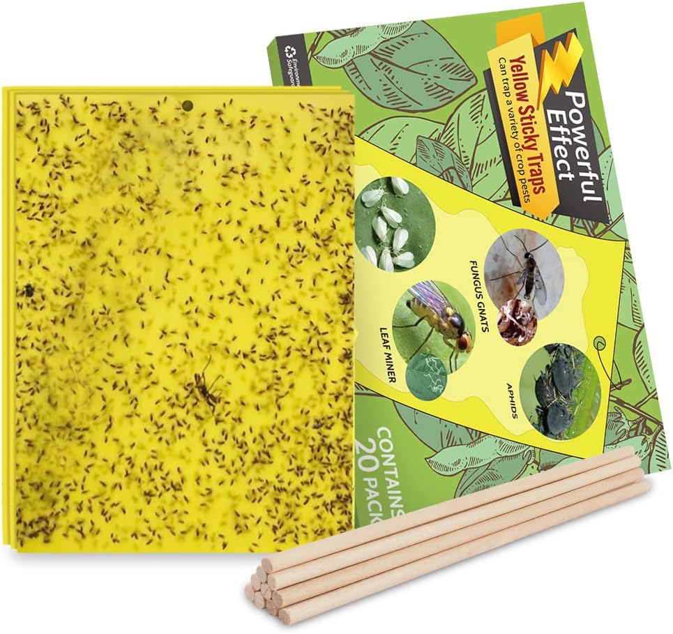 Kensizer 20-Pack Fruit Fly Trap, Yellow Sticky Gnat Traps, 6x8 in | For Indoor/Outdoor, Flying Plant Insect Killer, Fungus Gnats, Whiteflies, Aphids, Leaf MinersBeyond the Soil pest control