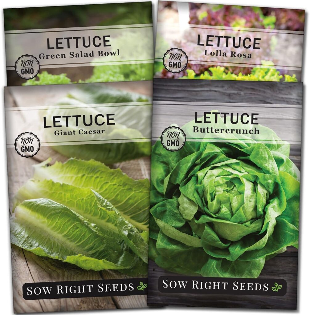 Sow Right Seeds - Lettuce Seed Collection for Planting Vegetable Garden | With Buttercrunch, Lolla Rosa, and more. Plant hardy non-GMO in indoor hydroponics.Beyond the Soil seeds