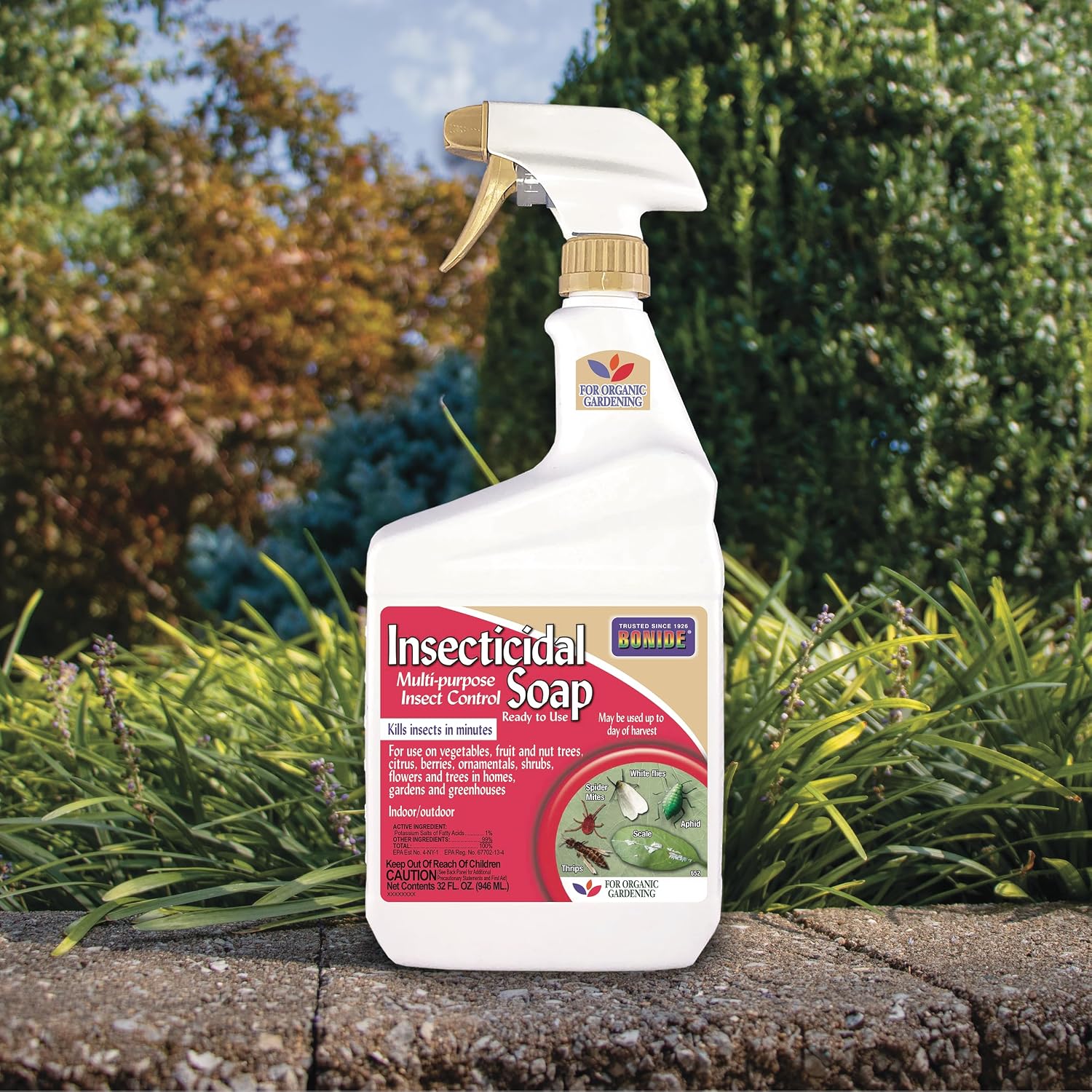 Bonide Insecticidal Soap, 32 oz Ready-to-Use Spray Multi-Purpose Insect Control for Organic Gardening Indoor and Outdoor | Multi-Purpose Insect ControlBeyond the Soil pest control